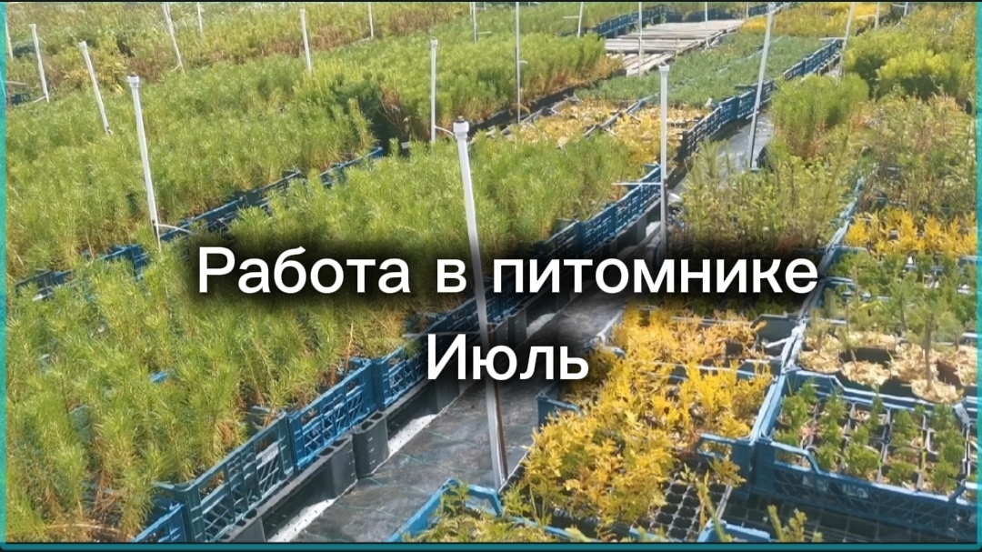 Много, много дел...