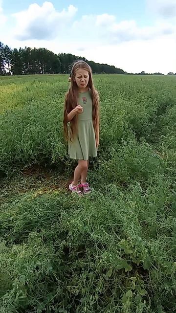 В пути