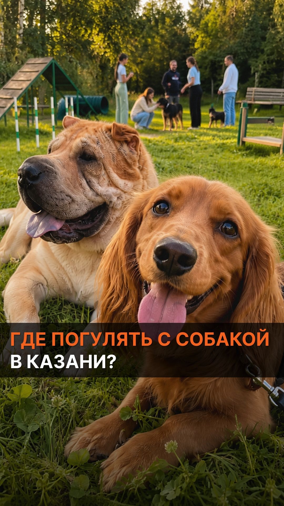 Где погулять с собакой в Казани?