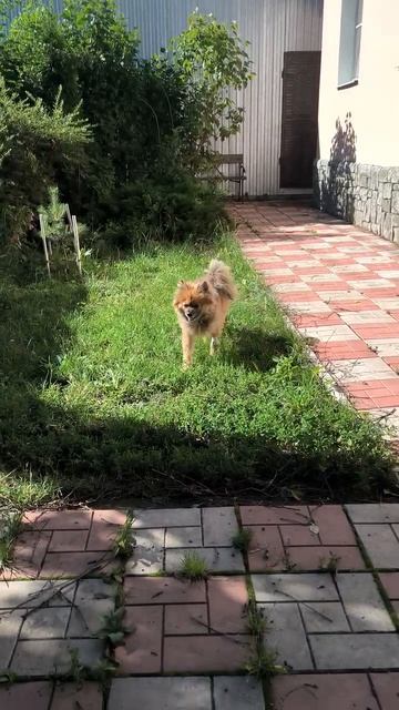Полежал и хватит