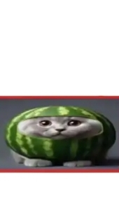 Я вернулся!!!