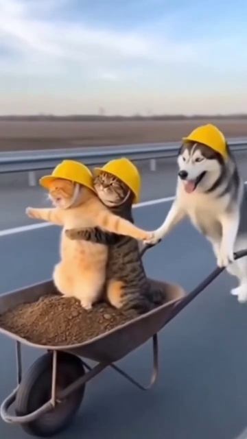 Телегатаник 😄