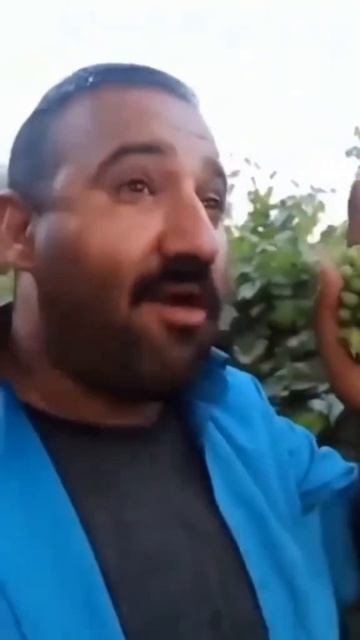 Помните эти слова 🫂