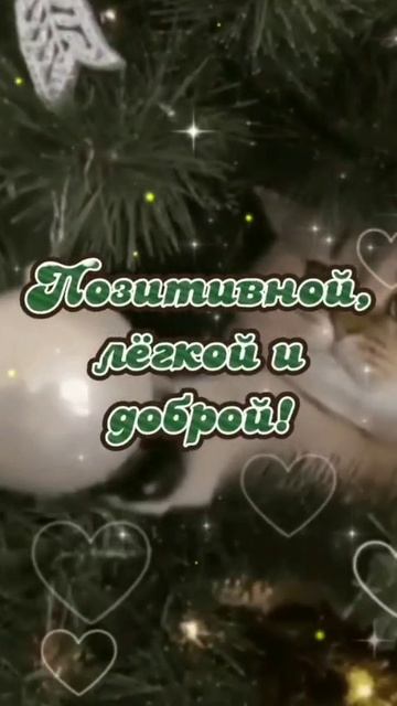 открытка
