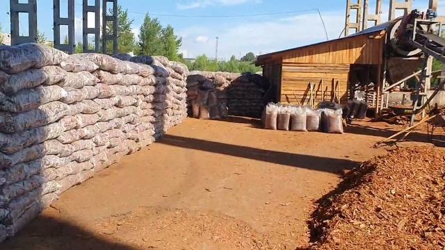 Кора Сибири Усть-Илимск