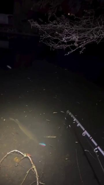 Ночная поклёвка щуки