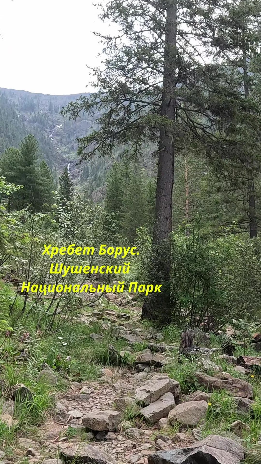 Хребет Борус. Шушенский Национальный Парк