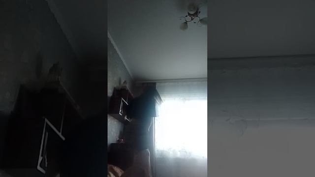 1000009491.mp4