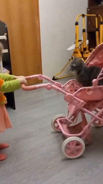 И так целый день Тонечка катает Ваську