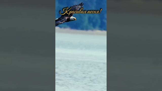 Красивая песня