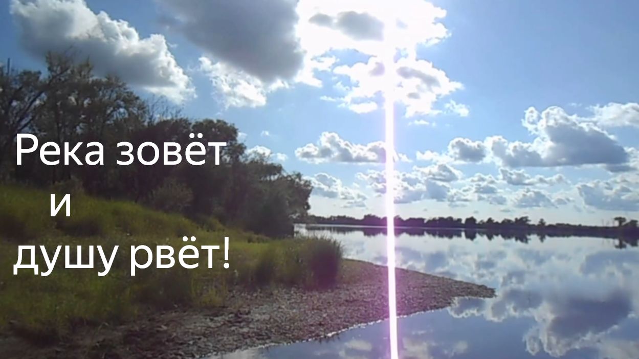 Когда душа хотит леща))