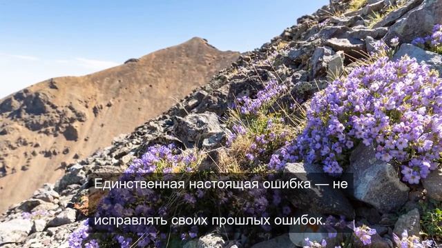 Возможность сделать открытие
