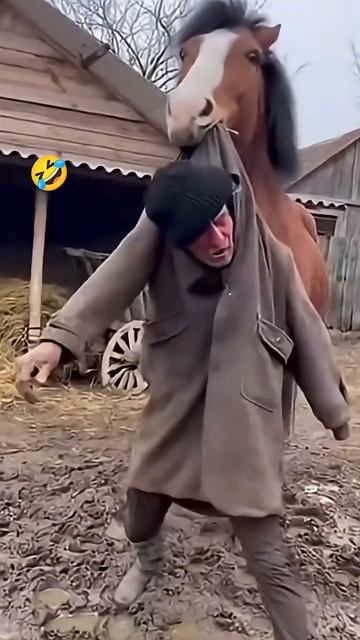 Хороший конь, в беде не оставит ;) #прикол #юмор #смех #shorts