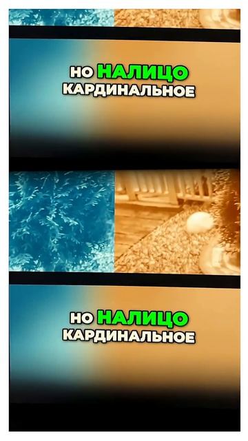Луна, что мы на ней обнаружили? Снимки спутника