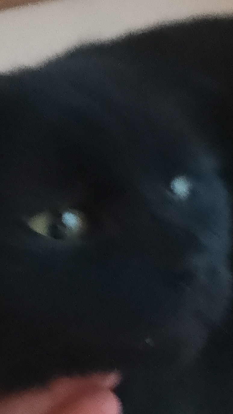 23-07-2026