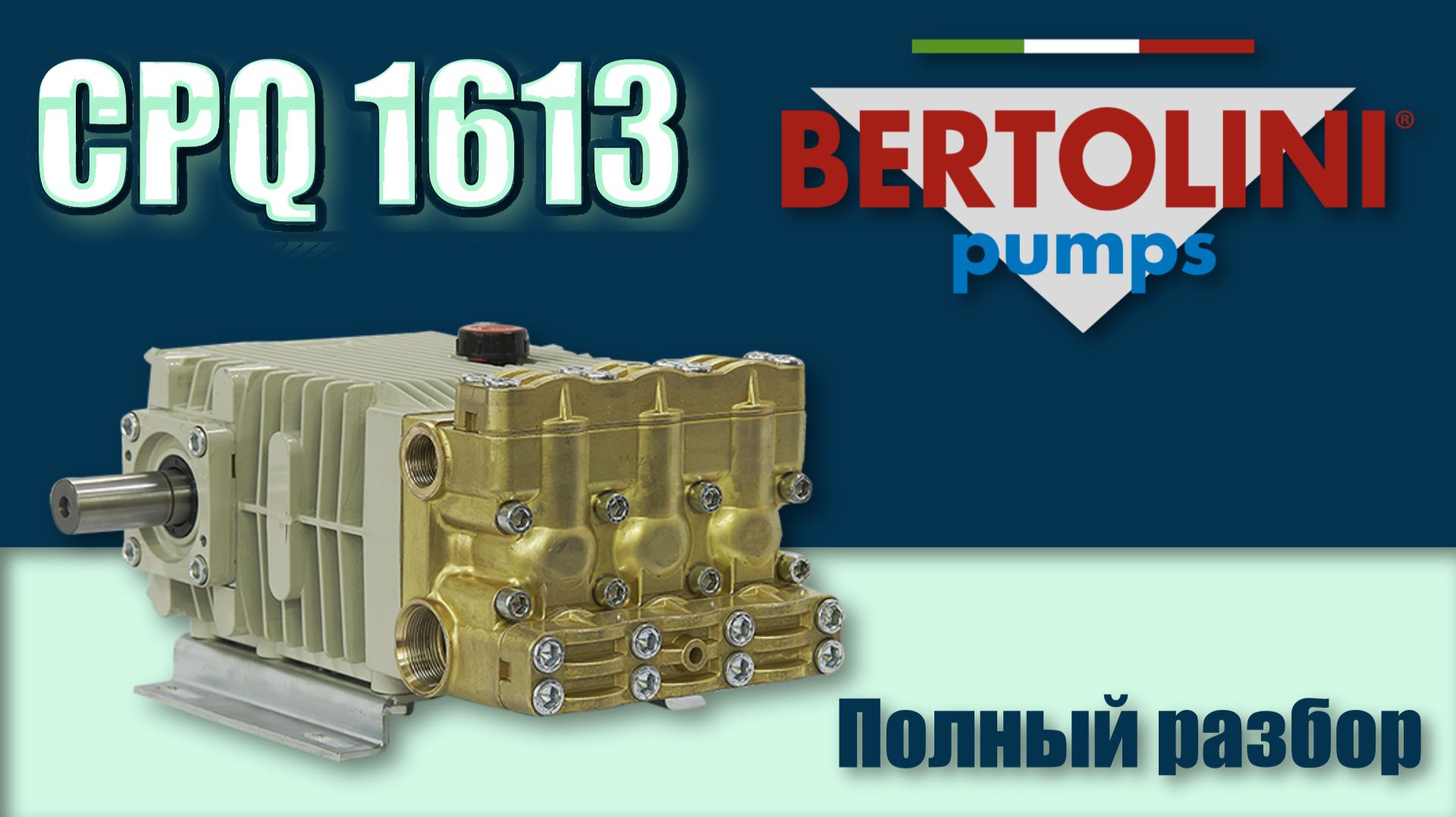 Ремонт насоса Bertolini CPQ1613 с полной разборкой