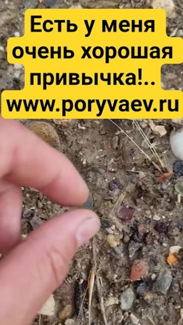 Камрады! Есть у меня очень хорошая привычка!.. Www.poryvaev.ru