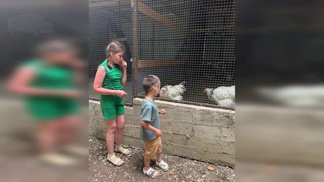 Четвертая смена. Детки отдыхают