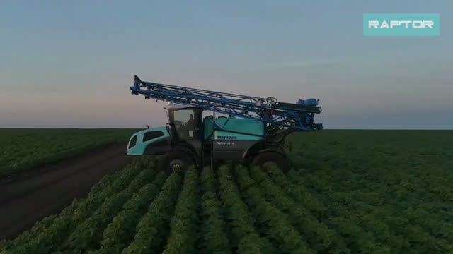 BERTHOUD Raptor - полевая демонстрация. Обработка подсолнечника в Волгоградской области.