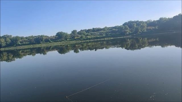 Рыбалка на Дону, мкр. Шилово, Воронеж, мормышинг + отводной, 20.07.2026 года