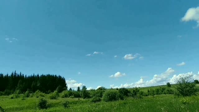 Дождь  прошёл...