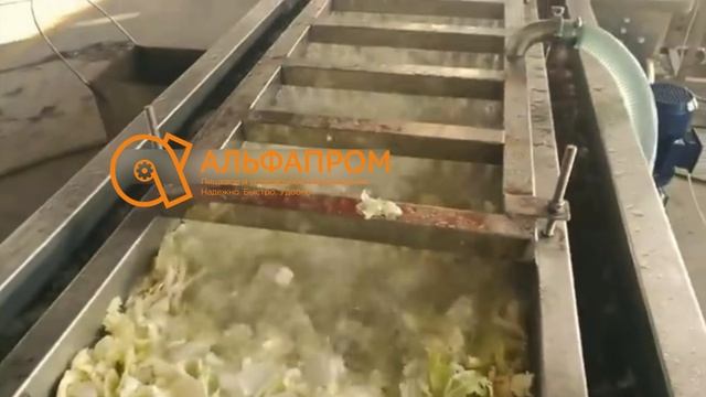 Промышленная машина для мойки овощей и зелени