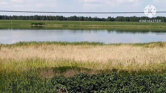 Получили подарки от подписчиков/закупились продуктами