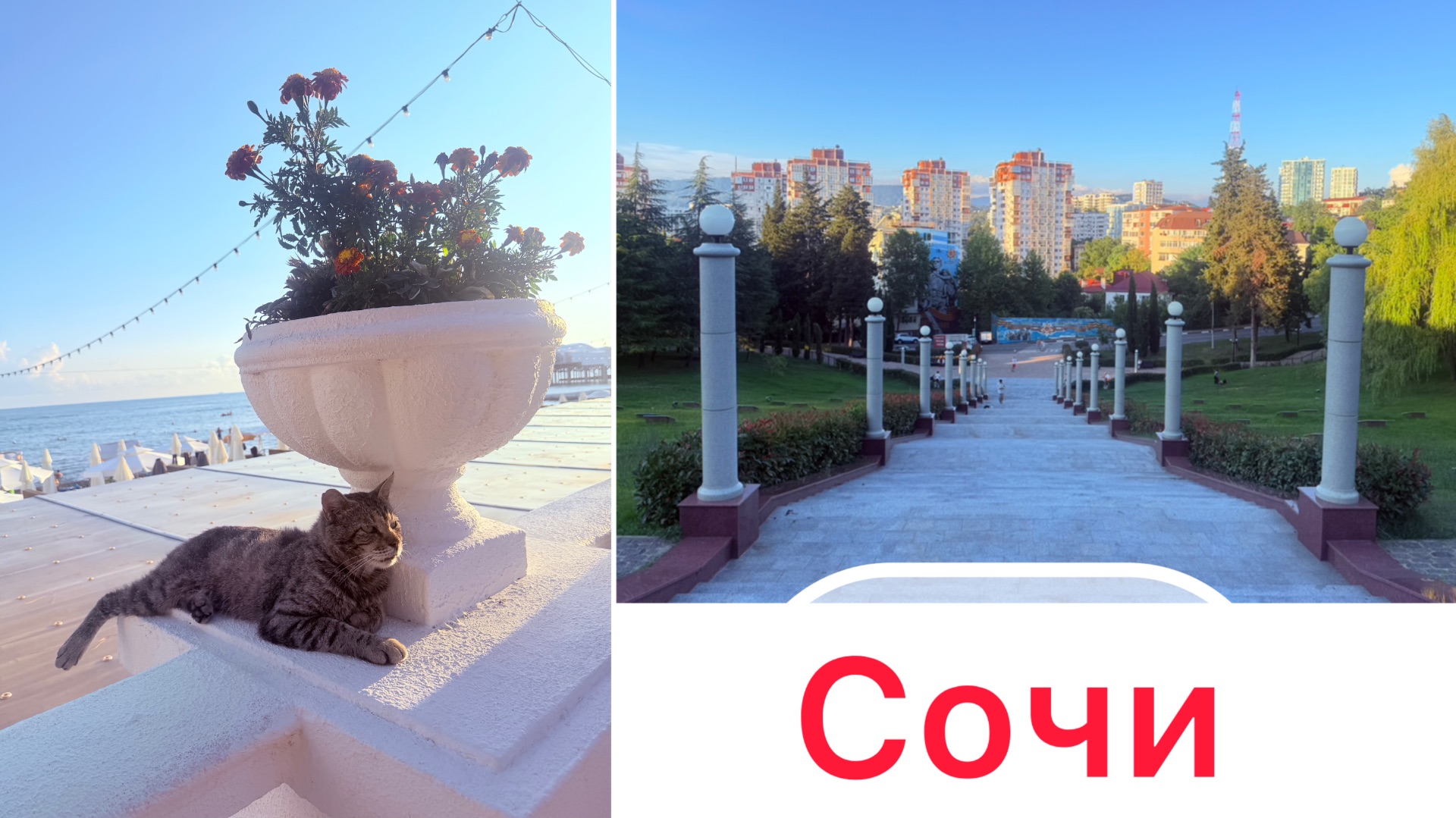 Сочи в июле 2026. Мало людей.