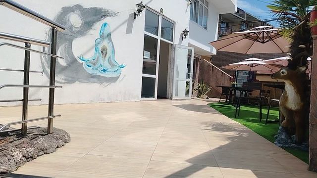 1000264907.mp4