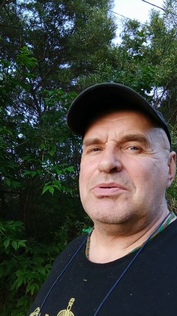 Пришло время чая из листьев облепихи