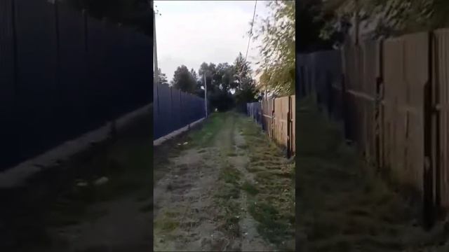 Захват реки Усманка в селе Орлово Новоусманского района Воронежской области