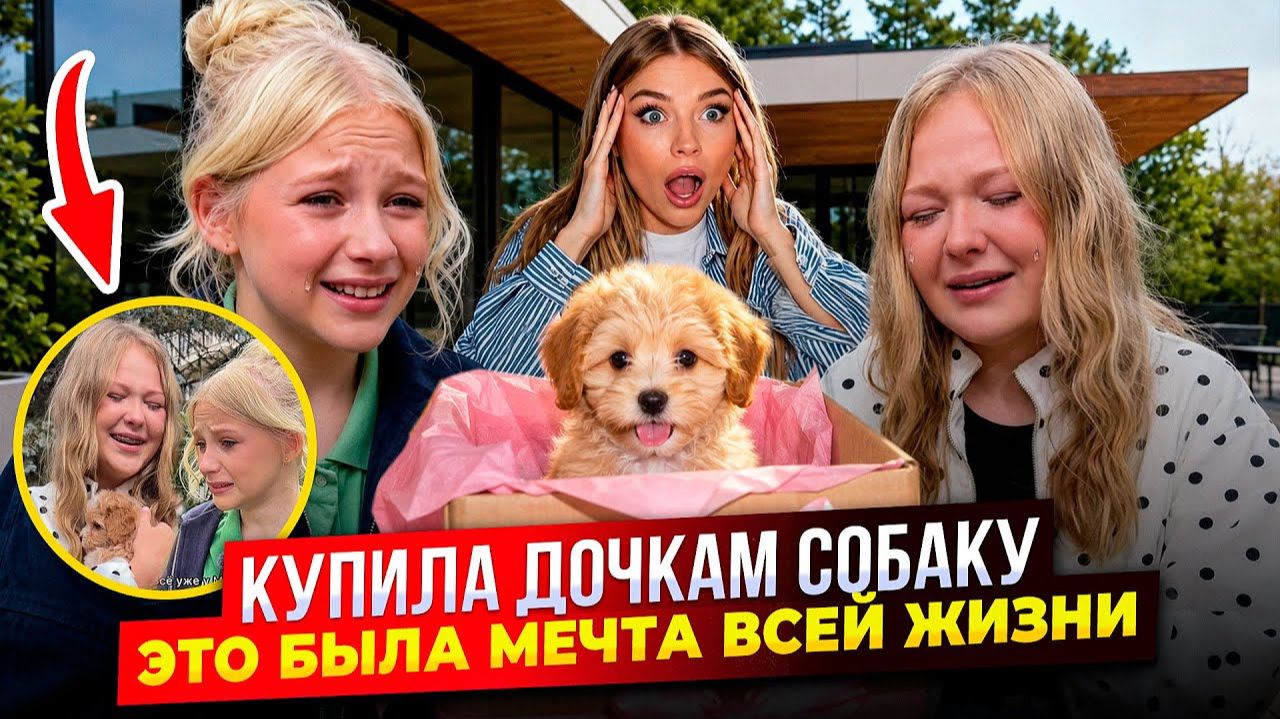 КУПИЛА ДОЧКАМ СОБАКУ ! ЭТО БЫЛА МЕЧТА ВСЕЙ ЖИЗНИ !