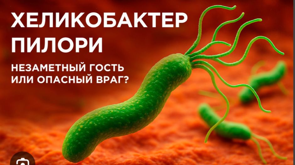 Хеликобактер не прощает ошибок БАКТЕРИЯ которая крадёт ваши годы жизни Профессор Ершов АВ.