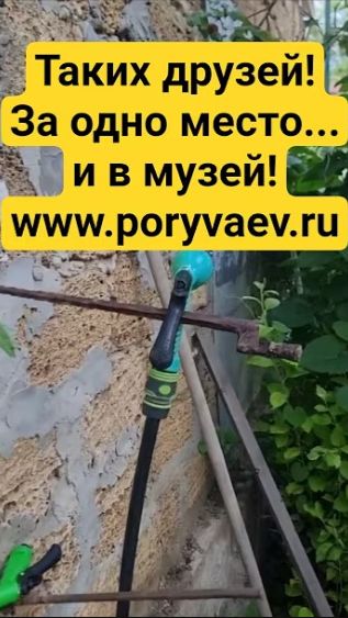 Таких друзей! За одно место... и в музей! Www.poryvaev.ru