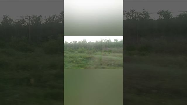 поездка на поезде