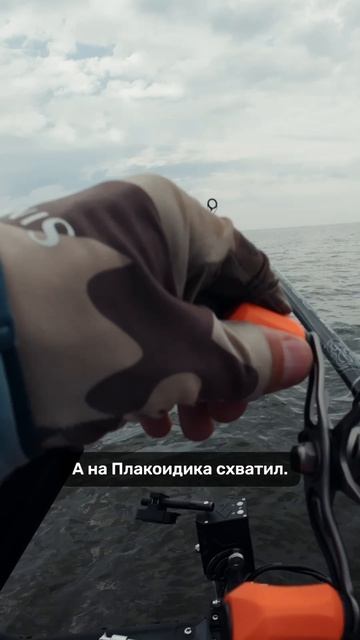 Поставил Frapp Placoid, и судак сразу клюнул 👍 #teammida #frapp