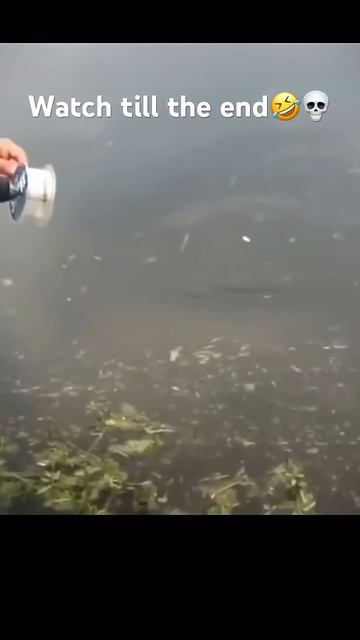 Рыбалка на шуруповёрт.