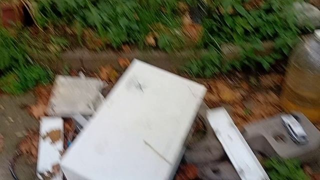 КОТЫ