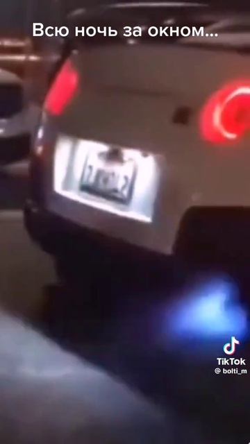 жиза