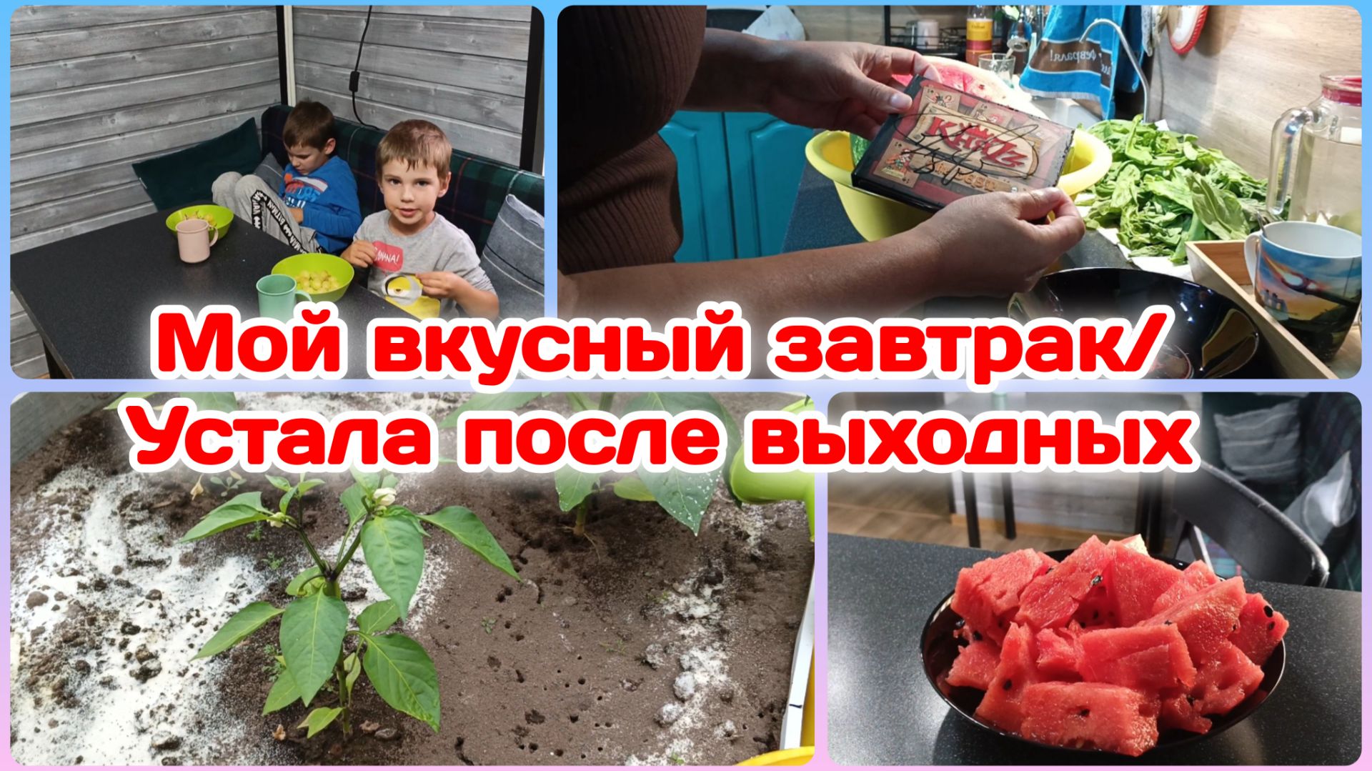 Мой завтрак,очень вкусный/Устала после выходных,выдохнулась