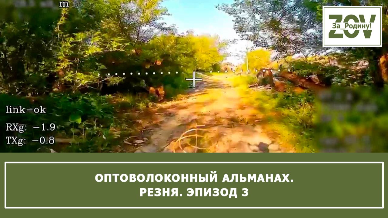 Оптоволоконный альманах. Резня. Эпизод 3