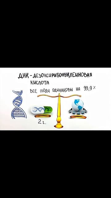 Спасибо за подписку!😁