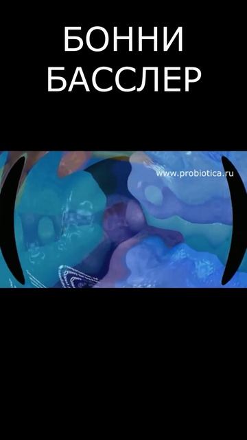 БОННИ БАССЛЕР 1. МИКРОБНЫЙ РАЗГОВОР.