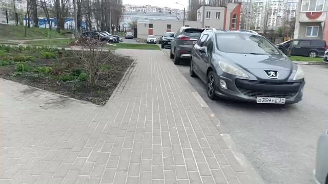 Инспекция дворовой территории.