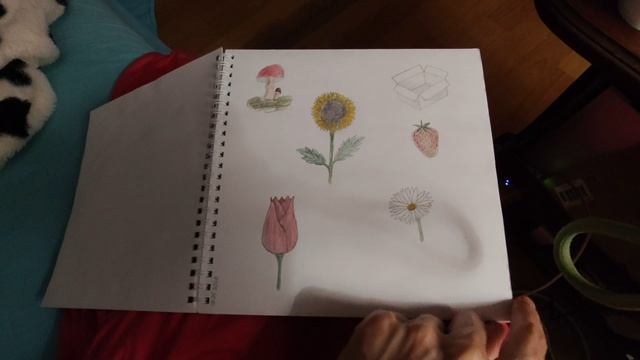27-07-2026 листаю свой скетчбук