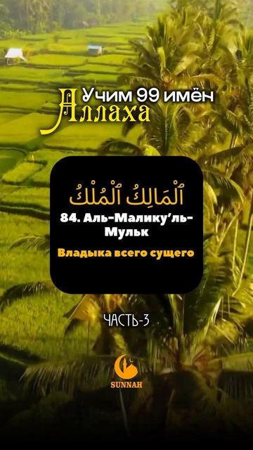 Учим 99 имен Аллаха! Часть-3 #99имён #именааллаха #коран #quran