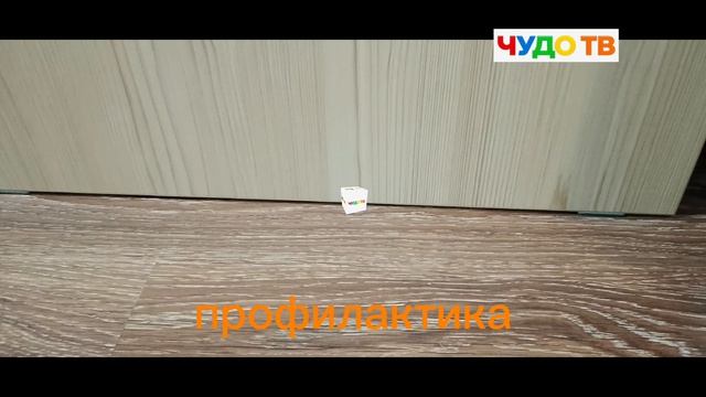 профилактика на телеканале чудо тв в 23:40
