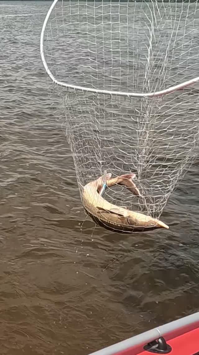 ЗАБАГРИЛ