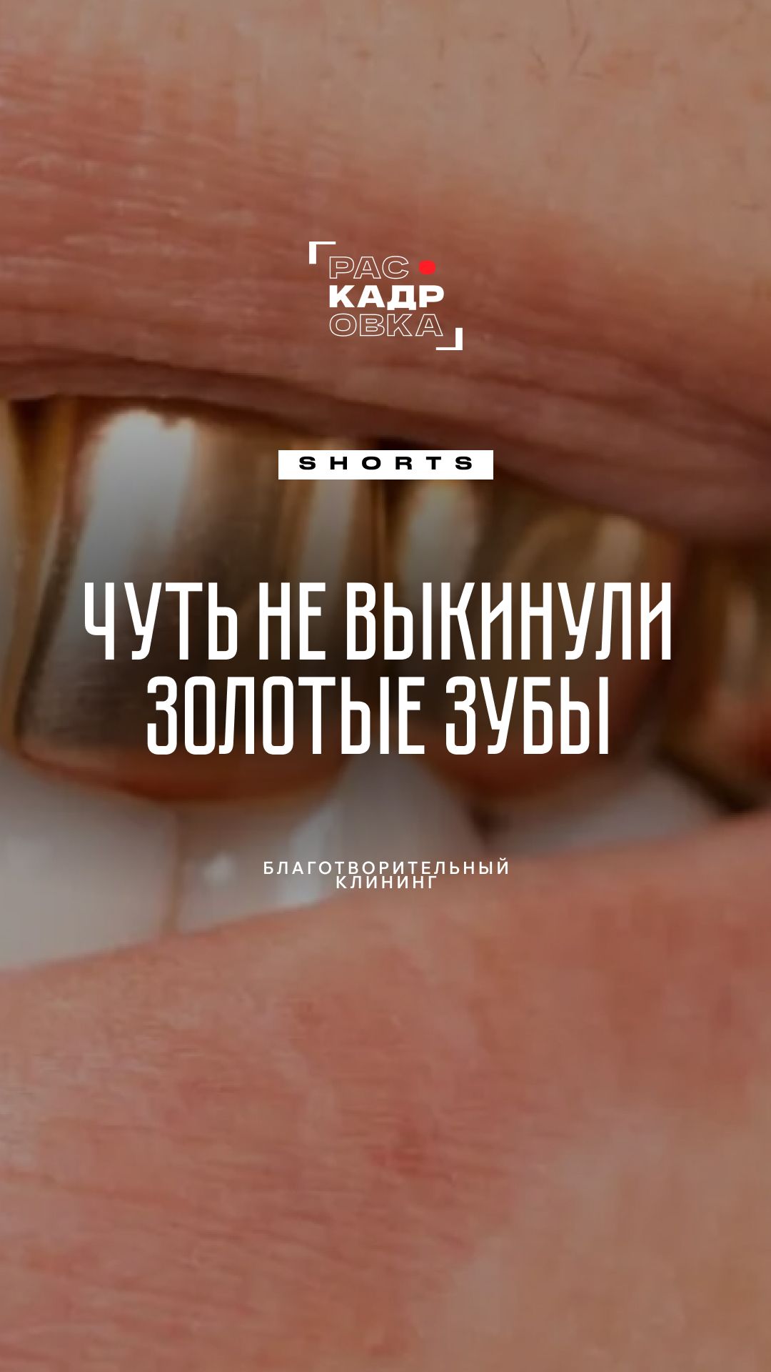 Чего только не увидишь во время клининга в запущенных квартирах 👀