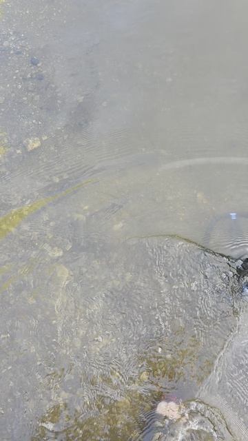 2 программа для воды с Garrett Vortex